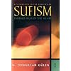 Key Concepts in the Practice of Sufism (Vol.1)