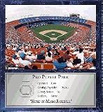 Pro Player Park (Miami Marlins) 12" x 15" Plaque with 8" x 10" Stadium Photograph