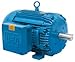 WEG Electric, 02036XT3H256T, 20HP, 3600RPM, 3PH, 575V, 256T Frame, Standard Flange, Foot Mount, TEFC, Explosion Proof Motor.
