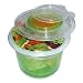 E-Z Freeze Salad To Go Food Container