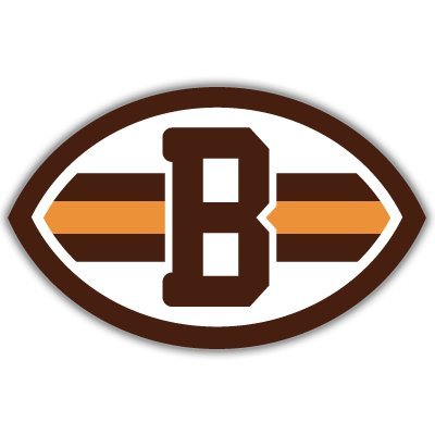 Cleveland Browns NFL Football bumper sticker 6