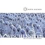 Zwischenspiel/Alles f�r Den Herrn