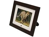  : Mustek PF-D853AM 8-Inch Digital Photo Frame (Brown)