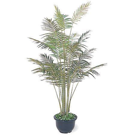 【人工植物】ヒメヤシ 1.8m