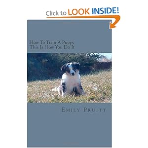 How To Train A Puppy - This Is How You Do It: