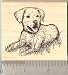 Labrador Golden Retriever Mix Puppy Rubber Stamp - Wood Mounted