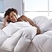 Read Better than Down All-Season Comforter Details Better than Down All-Season Comforter