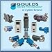 Goulds 3ST2C1H4 Centrifugal Pump