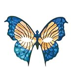 Review UKPS  / Eyemask: Mariposa Gold/Blue