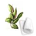 Rubber Plant, 1999 (w/c on paper) by.. - Tea Towel 100% Cotton - Art247 - Tea Towel - 46x70cm