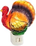 Turkey Night Light