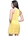 OMEYA.WANSHIDA.Women Party Flare Lace High Neck Sleeveless A-line Mini Dress