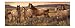 York Wallcoverings Lake Forest Lodge CH7813BD Grey Horse Border, Sand/Brown Band