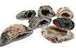 Agate Geode OCCOs 1 Kilo (2.2 lbs) Assorted 5 to 9 Pieces - Grade A
