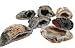 Agate Geode OCCOs 1 Kilo (2.2 lbs) Assorted 5 to 9 Pieces - Grade A