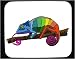 Decorated Mouse Pad with chameleon, limb, slither, animal, reptile