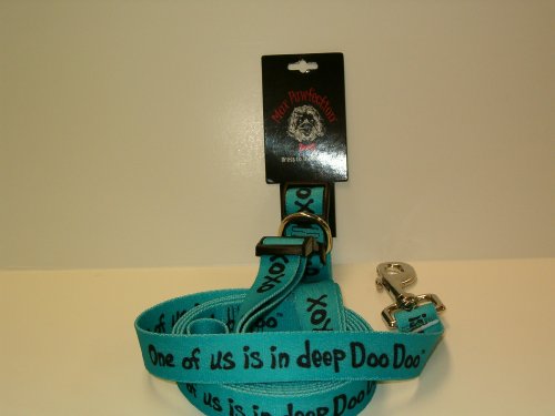 Dog Leash and Collar Set
