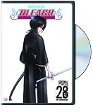 Bleach, Vol. 28