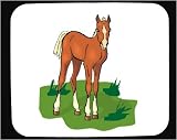 Decorated Mouse Pad with equestrian, horse, stallion