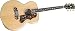 Gibson J-200 Custom Vine Antique Natural Acoustic Guitar