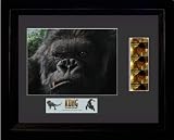 King Kong Framed Film Cell Presentation