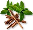 cinna-mint decaffeinated tea