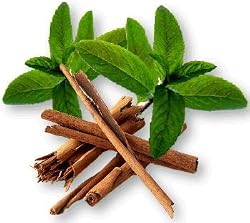cinna-mint decaffeinated tea
