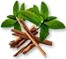cinna-mint decaffeinated tea