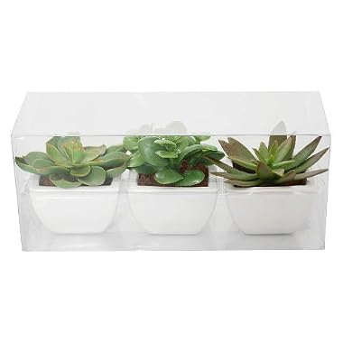Product Image Ptted Faux Succulents - Set of 3