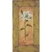 Oriental Hybrid, Ms. Lily Poster Print