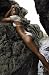 All Products : Jessica Biel 24X36 Poster - Very Hot - New! - Buy Me! #15