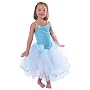 Acting Out Musical Waltz Dress