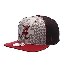 NCAA Alabama Crimson Tide Men's Reflector Snapback Hat, Silver/Black, Adjustable
