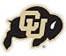 Colorado Golden Buffaloes Car Magnet Decal (12 -inch)