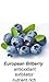 Organic Vitamin C Toner with European Bilberry & Vitamin C, No Added Parabens