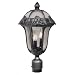 Special Lite Products F-2710 Rose Garden Medium Post Lantern