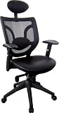 Phantom PH3500H Ergonomic Mesh Matrex Back Task Desk Chair With Headrest