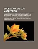 Evoluci N de Los Mam Feros: Evoluci N Humana, Mam Feros F Siles, Homo Neanderthalensis, Homo Erectus, Hom Nido, Eva Mitocondrial FEROS
