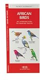 African Birds