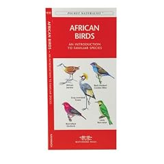 African Birds: An Introduction to Familiar Species (Pocket Naturalist Eco-Traveler)