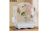 Review Bird  / Bird Cage Kit for Budgies and Parakeets.