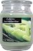 Candle-lite Essentials 18-Ounce Fresh Melon Slice Terrace Jar Candle