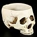 Skeleton Skull Medium Kitchen Bowl Figurine