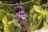 Wallmonkeys Peel and Stick Wall Decals - Fresh Herbs and Mezzaluna. - Removable Graphic
