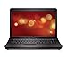 Compaq 615 39,6 cm (15,6 Zoll) Notebook (AMD Athlon QL66 2.2GHz, 4GB RAM, 320GB HDD, ATI HD3200, DVD, FreeDOS)
