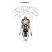 The Very Best of the Eagles: Guitar Tablature Edition (Authentic Guitar-Tab)
