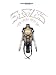The Very Best of the Eagles: Guitar Tablature Edition (Authentic Guitar-Tab)