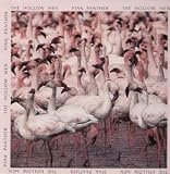 PINK PANTHER 12 INCH (12" SINGLE) UK EVENSONG 1991