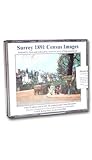 Surrey 1891 census images