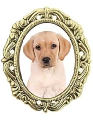 Labrador Brass Portrait Pin Gold Plated